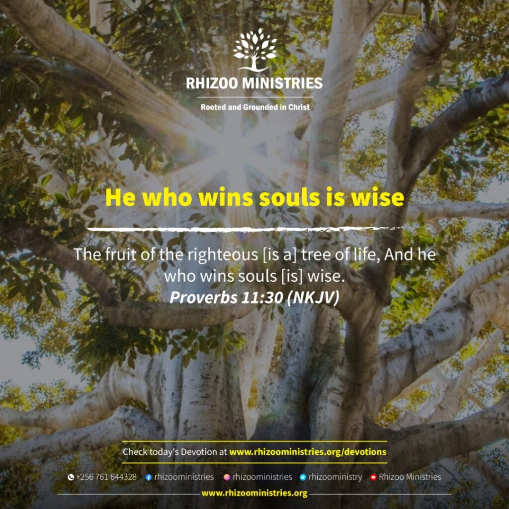 he-who-wins-souls-is-wise-rhizoo-ministries