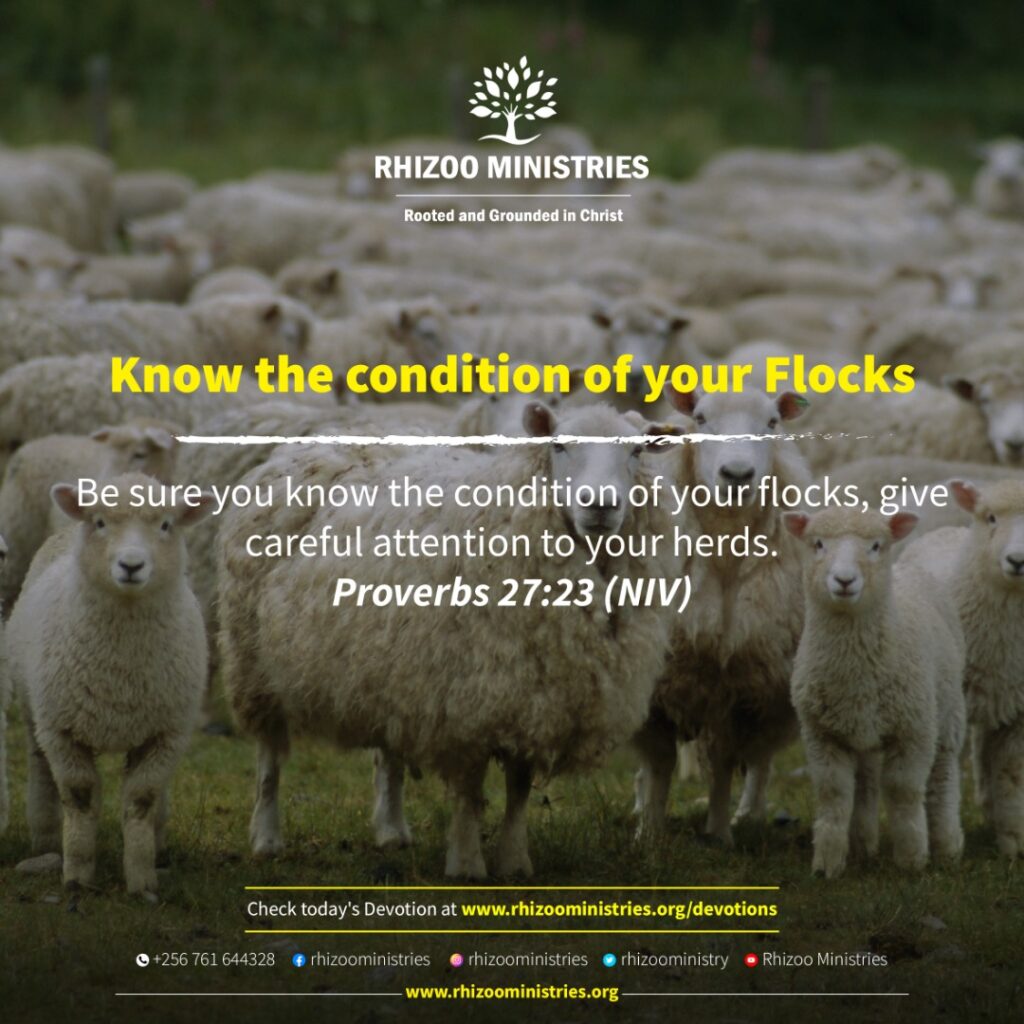 know well the condition of your flocks