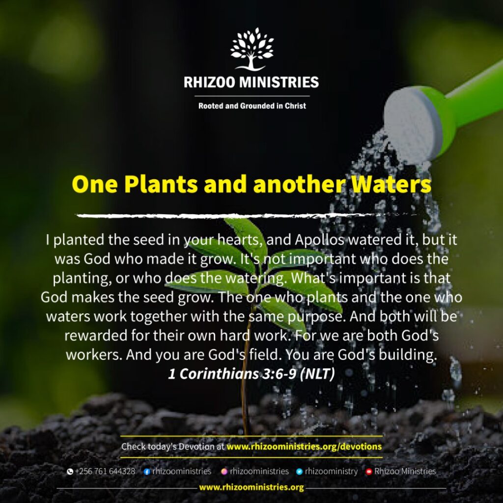 One Plants and another Waters Rhizoo Ministries