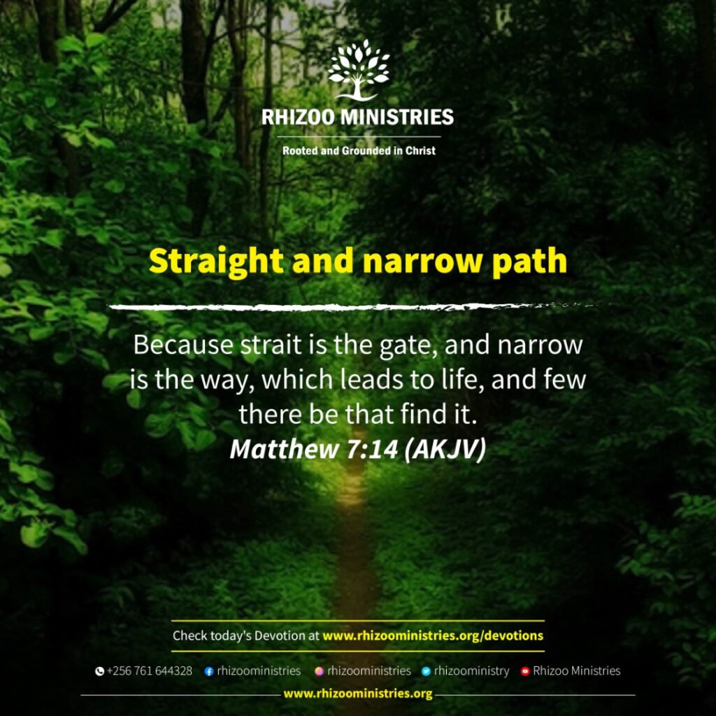 straight-and-narrow-path-rhizoo-ministries